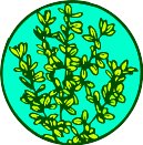 CGY00066.WMF