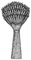 CGX50103.TIF