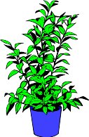 CGX00179.WMF