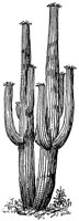CGW50080.JPG