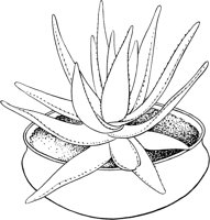 CGW50060.TIF