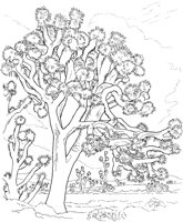 CGW50059.TIF