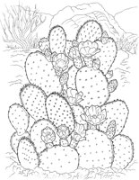 CGW50058.TIF