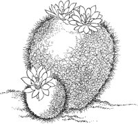 CGW50054.TIF