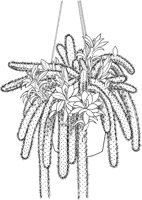 CGW50053.TIF