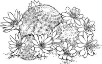 CGW50052.TIF