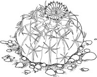 CGW50050.TIF