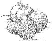 CGW50047.TIF