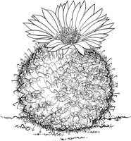 CGW50046.TIF