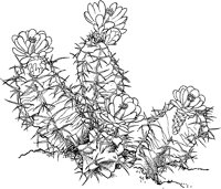 CGW50043.TIF