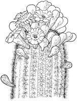 CGW50035.TIF
