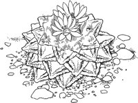 CGW50032.TIF