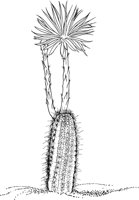 CGW50030.TIF