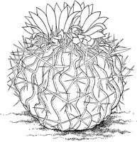 CGW50023.TIF