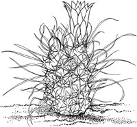 CGW50022.TIF