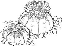 CGW50021.TIF
