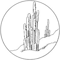CGW50019.TIF