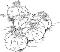 CGW50016.TIF