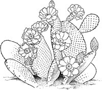 CGW50013.TIF