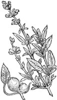 CGV50199.TIF