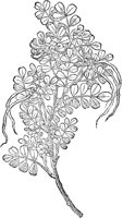 CGV50193.TIF