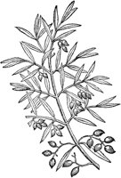 CGV50180.TIF