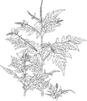 CGV50145.TIF