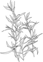 CGV50085.TIF
