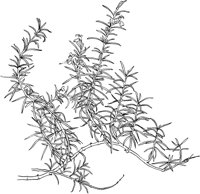 CGV50083.TIF