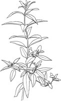 CGV50082.TIF