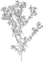 CGV50079.TIF