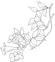 CGV50078.TIF