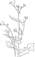 CGV50074.TIF