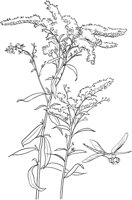 CGV50072.TIF