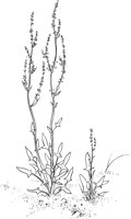CGV50071.TIF