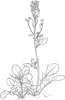 CGV50069.TIF