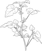 CGV50068.TIF