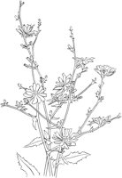 CGV50065.TIF