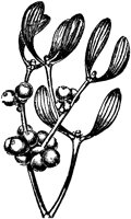 CGV50055.TIF