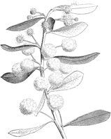 CGV50053.TIF