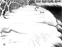 CHD50107.JPG