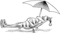CHC50010.JPG