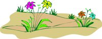 CHB00139.WMF