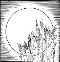 CHB00106.WMF