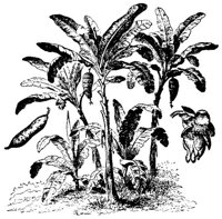 CHR50025.JPG