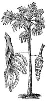 CHR50024.JPG