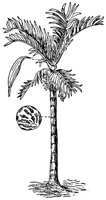 CHR50023.JPG