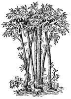 CHR50022.JPG