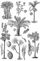 CHR50021.JPG