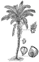 CHR50020.JPG